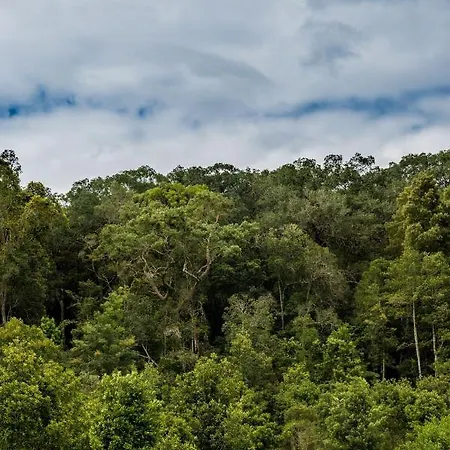 Woodcutters Forest Cottages Knysna Buitenkant foto
