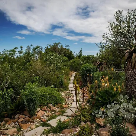 Woodcutters Forest Cottages Knysna Buitenkant foto