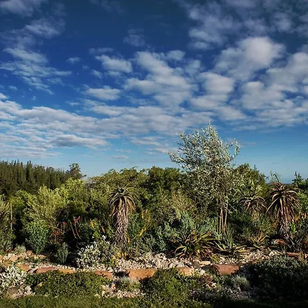 Woodcutters Forest Cottages Knysna Buitenkant foto