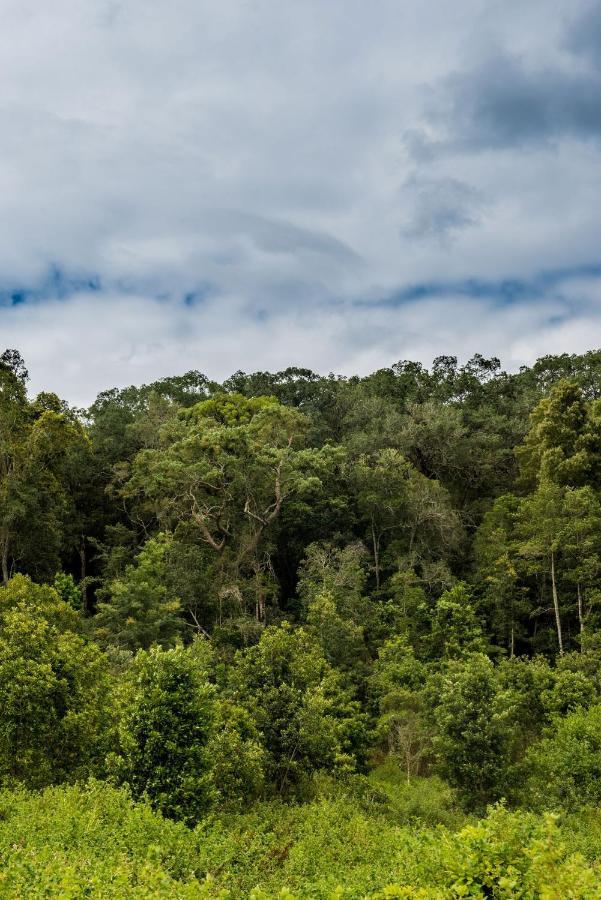 Woodcutters Forest Lodge Knysna